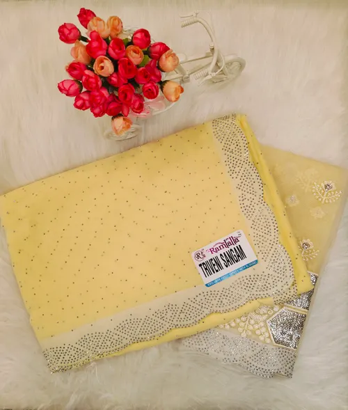 DESIGNER SAREE WITH WORK BLOUSE DS02